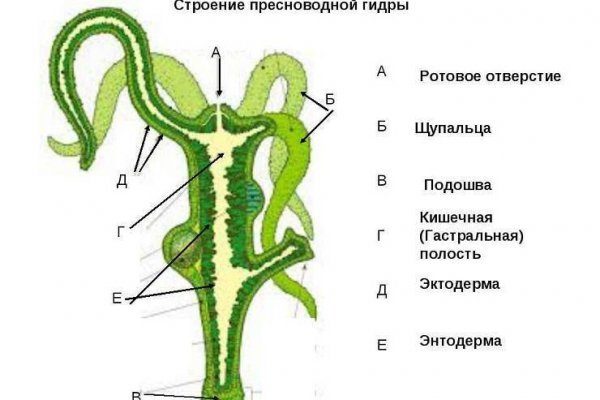 Магазин кракен дарк