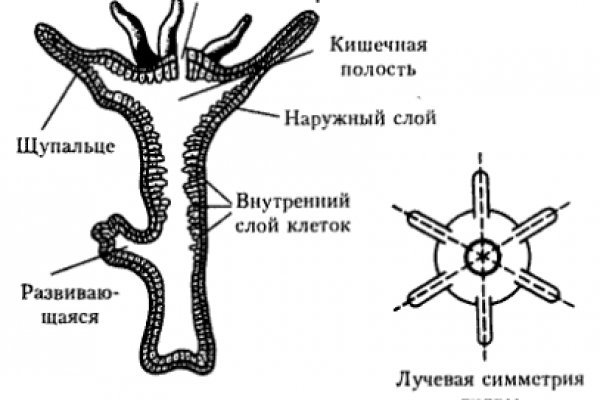 Kraken фейк сайт