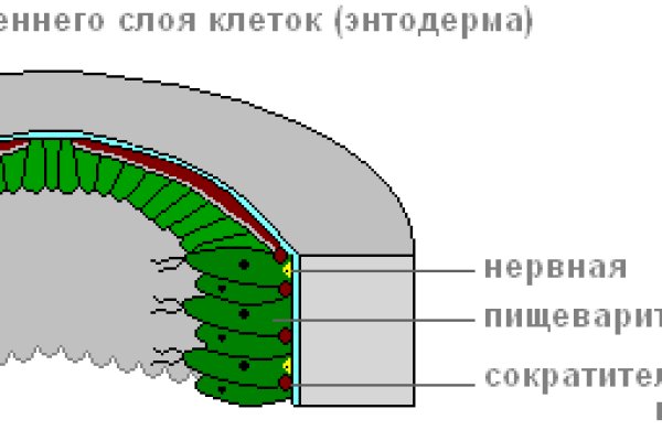 Кракен сайт работает